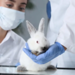 animal-testing