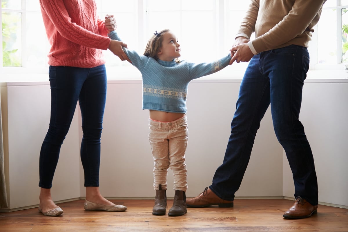 Child Custody and the Role of Extended Family